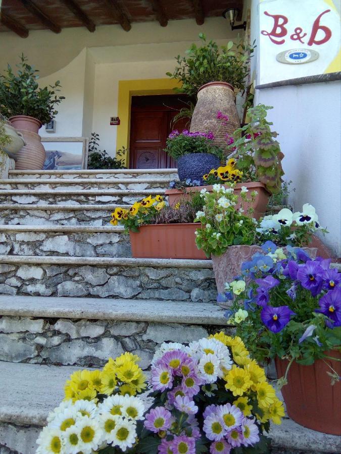 Casa D' Artista B&B Ozieri Eksteriør billede
