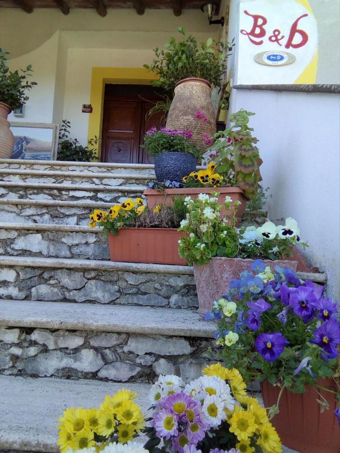 Casa D' Artista B&B Ozieri Eksteriør billede