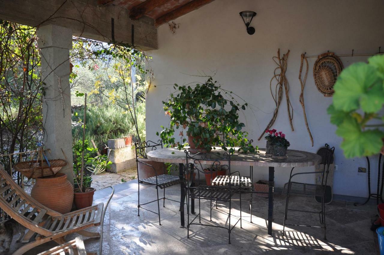 Casa D' Artista B&B Ozieri Eksteriør billede