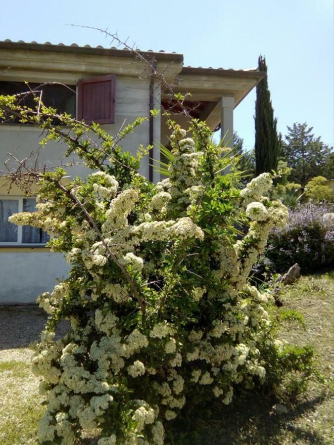 Casa D' Artista B&B Ozieri Eksteriør billede